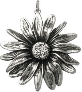 CIONDOLO GIOVANNI RASPINI MARGHERITA 07371